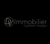 dvimmobilier-logo.png